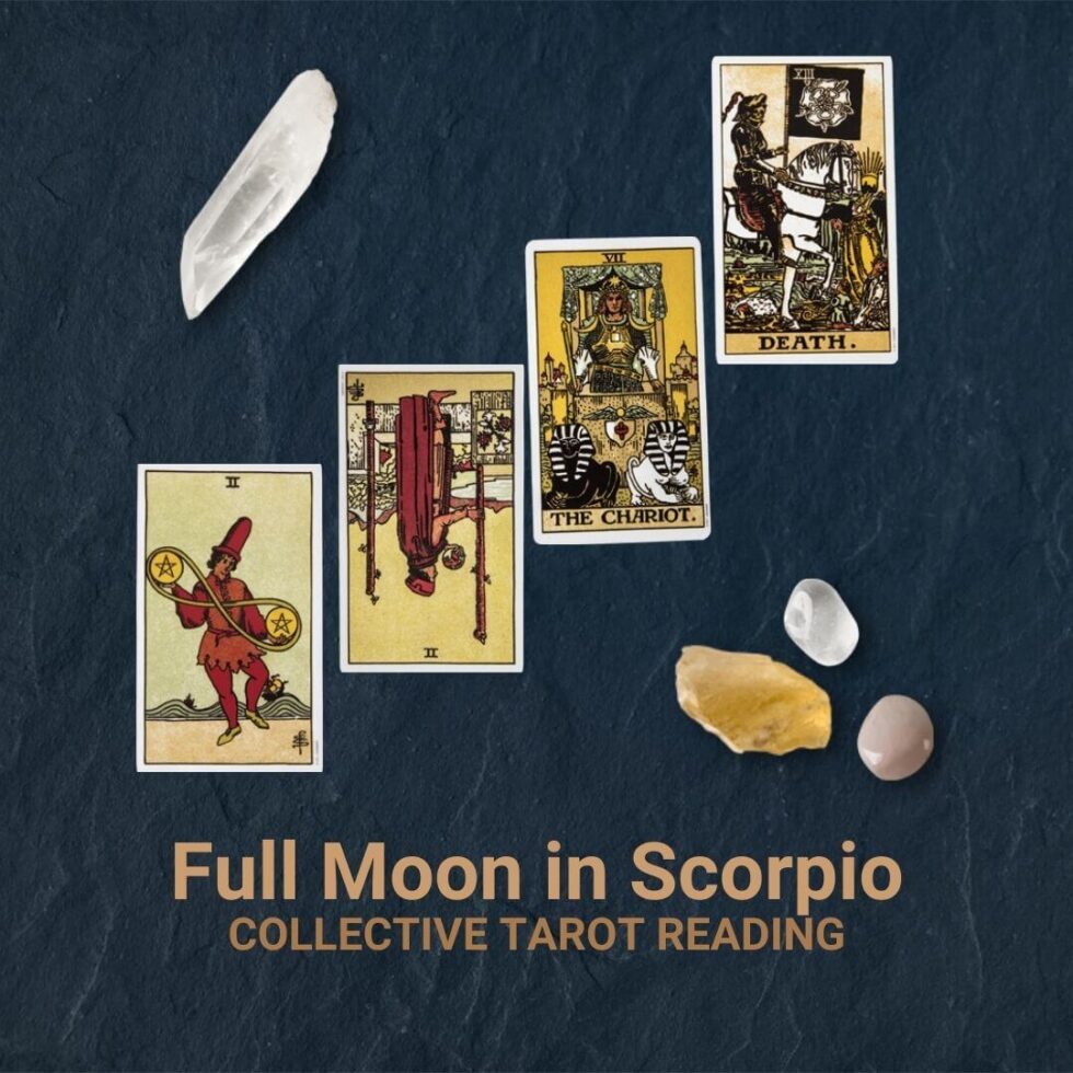 Full Moon In Scorpio Tarot Reading Galileos Mirror Tarot William Galileo 