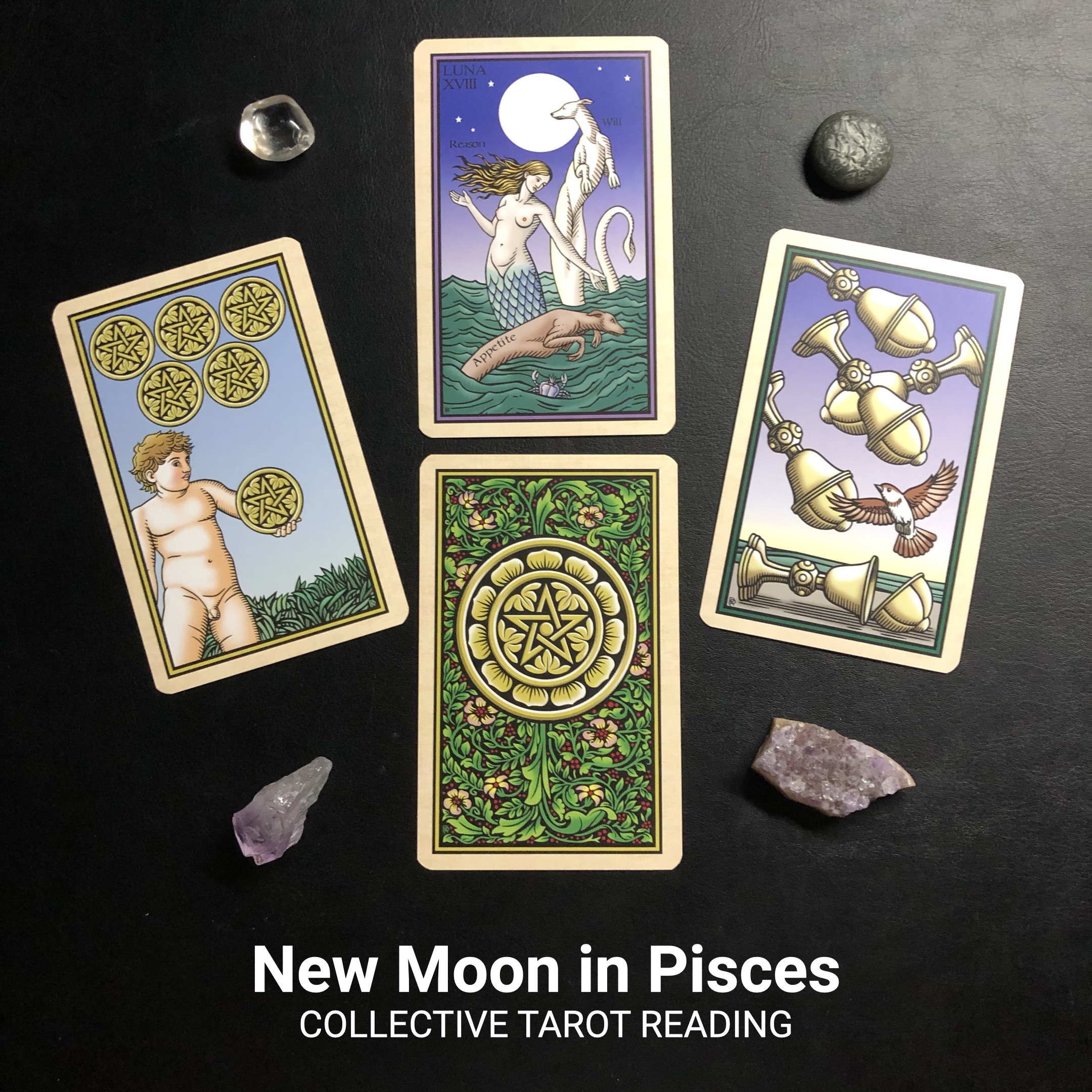 New Moon in Pisces Tarot Reading 2023
